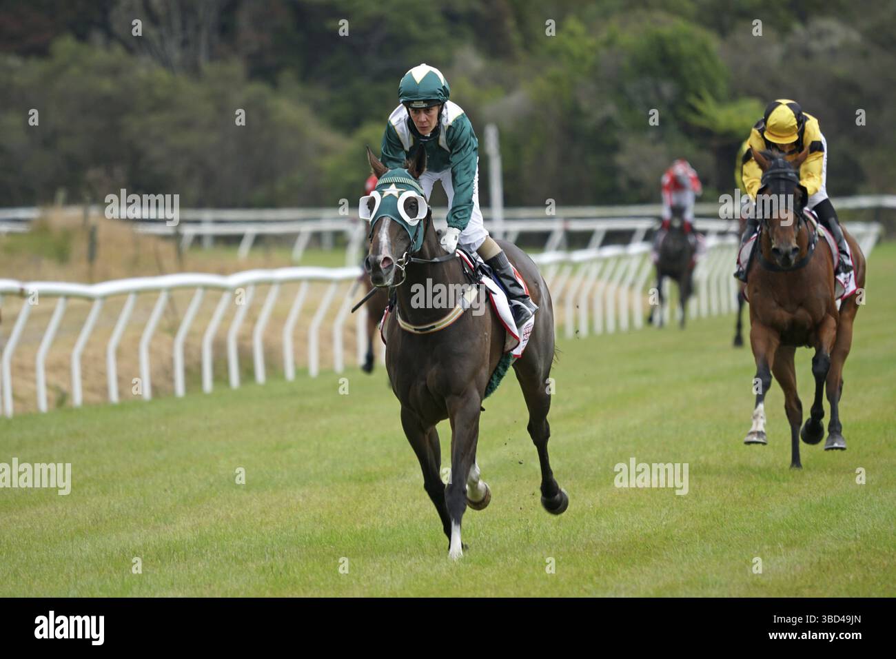 KUMARA, NUOVA ZELANDA, 8 GENNAIO 2022: jockey Kylie Williams sul campo alla competizione Gold Nuggets al Kumara Race Track, 8 gennaio 2022 Foto Stock