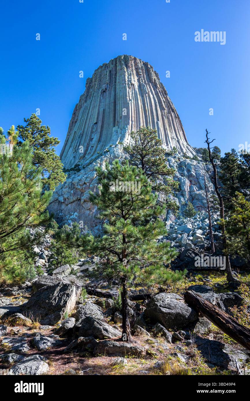 Il devil's Tower National Monument, una rara forma di roccia ignea, sorge fuori dal paesaggio del Wyoming, Stati Uniti. Foto Stock