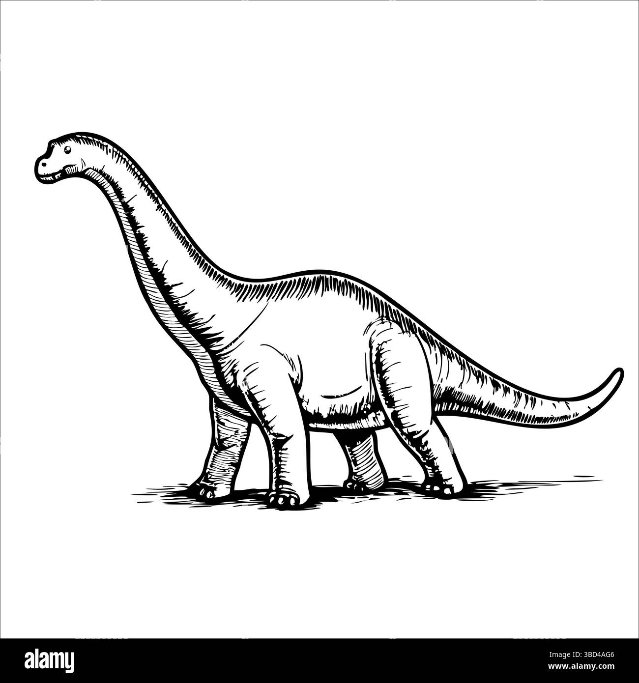 Uno schizzo dettagliato di un dinosauro dal collo lungo, simile a un Brachiosaurus. Illustrazione Vettoriale