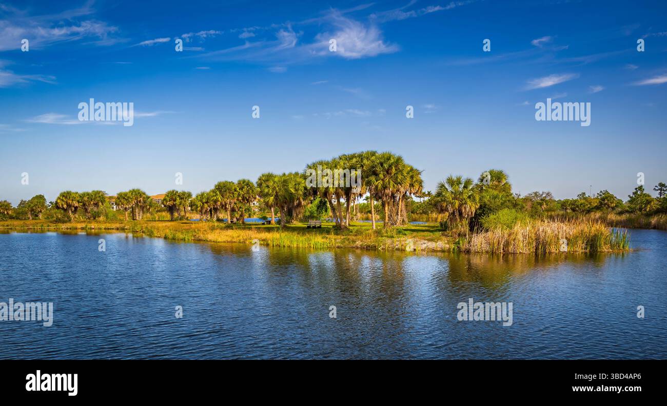 Lago nella riserva Scherer Thaxton a Venice, Florida, Stati Uniti Foto Stock