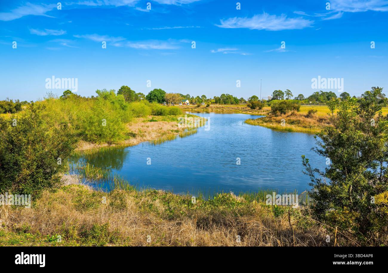 Lago nella riserva Scherer Thaxton a Venice, Florida, Stati Uniti Foto Stock