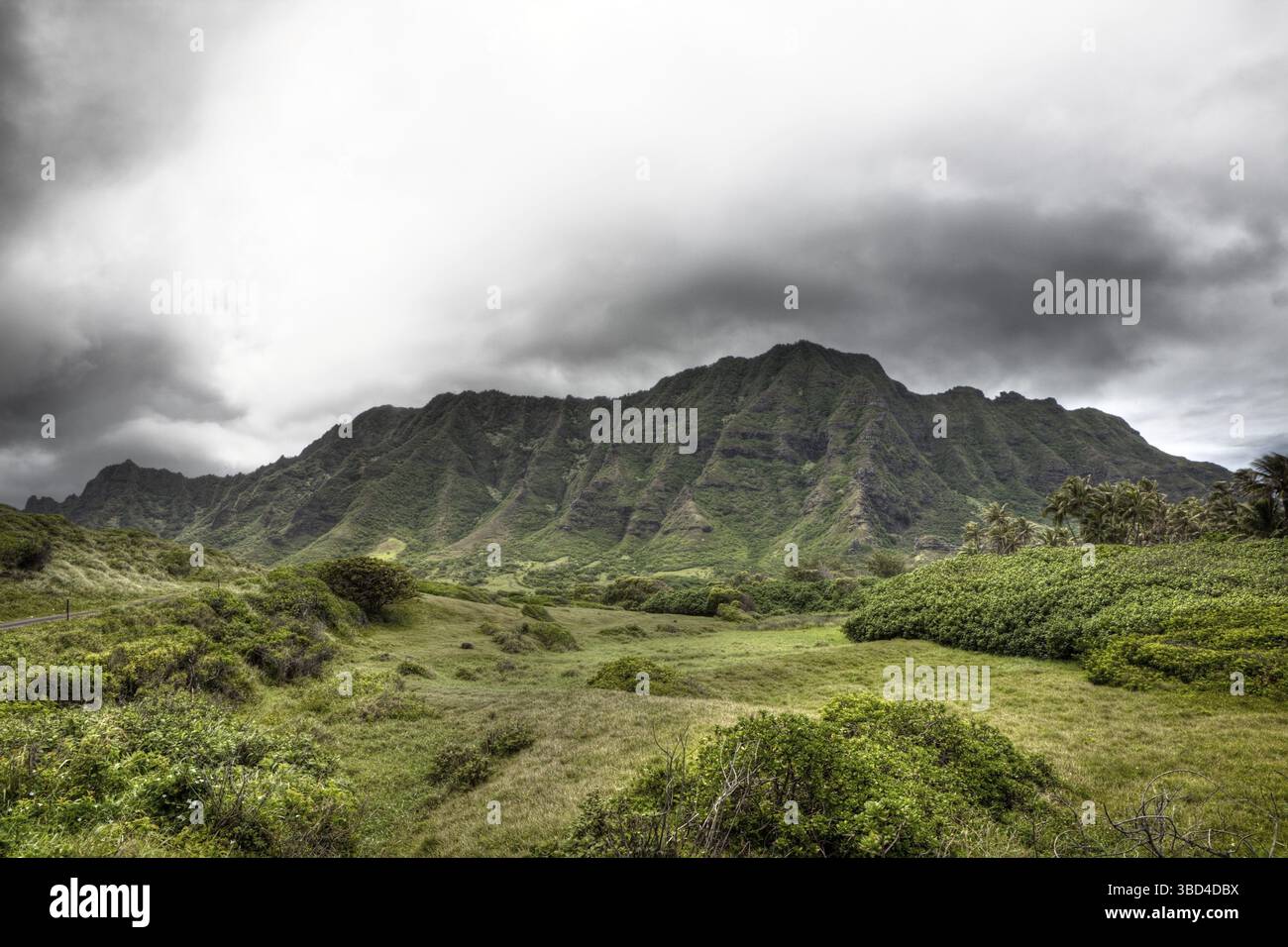 Koolau Cliffs vicino a Kualoa Ranch, Oahu, Oceano Pacifico, Hawaii, Stati Uniti Foto Stock