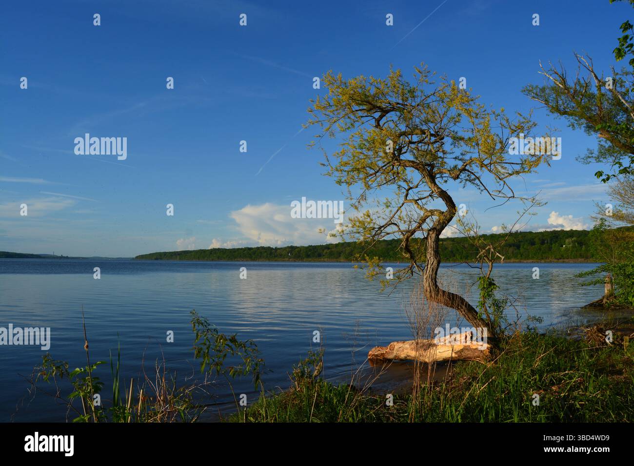 Fiume Hudson a Saugerties, New York Foto Stock