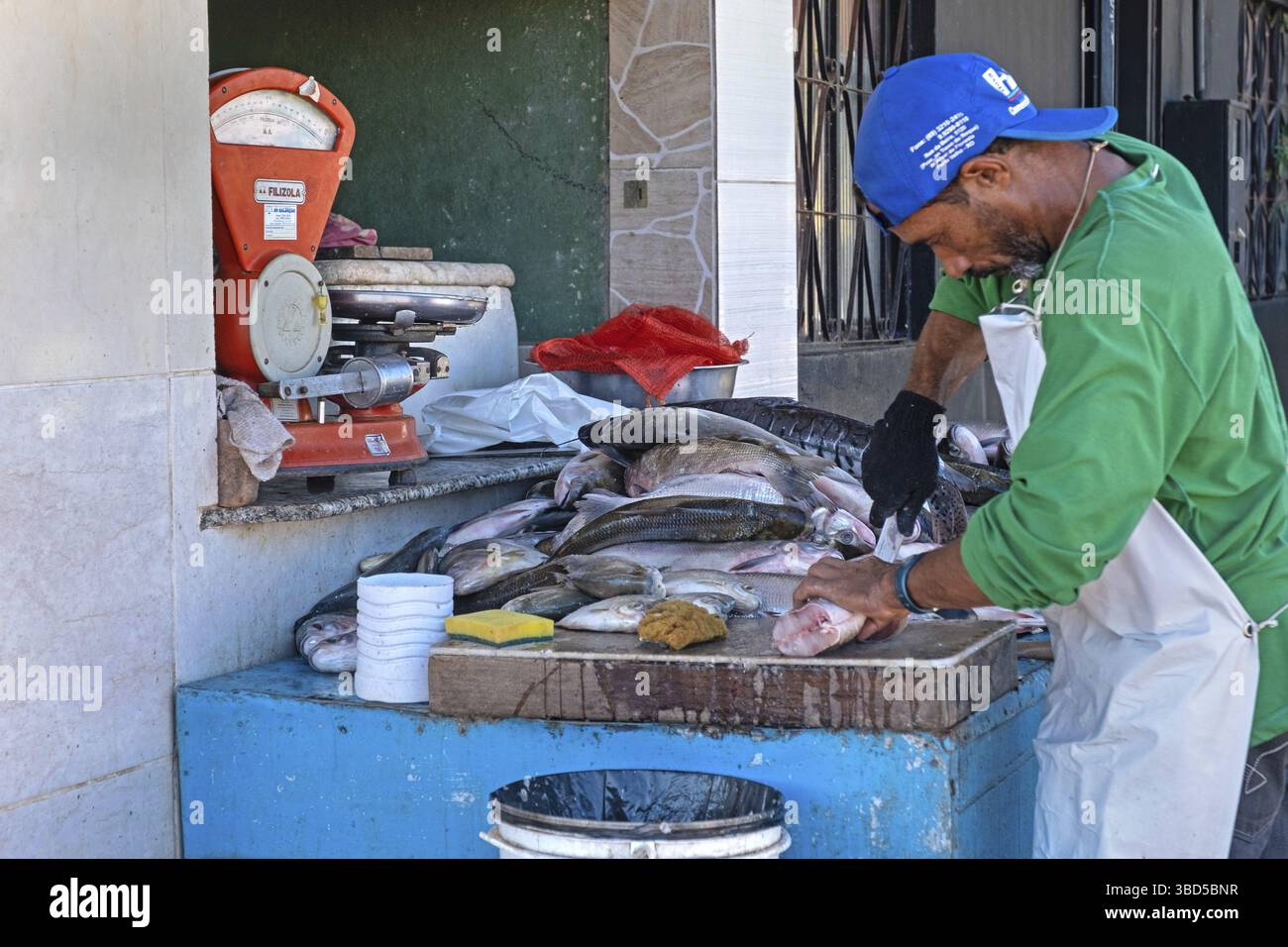 Pescivendolo che pulisce il pesce al mercato nel porto, porto della città di Porto Velho, Rondonia nel bacino superiore del Rio delle Amazzoni, Brasile Foto Stock