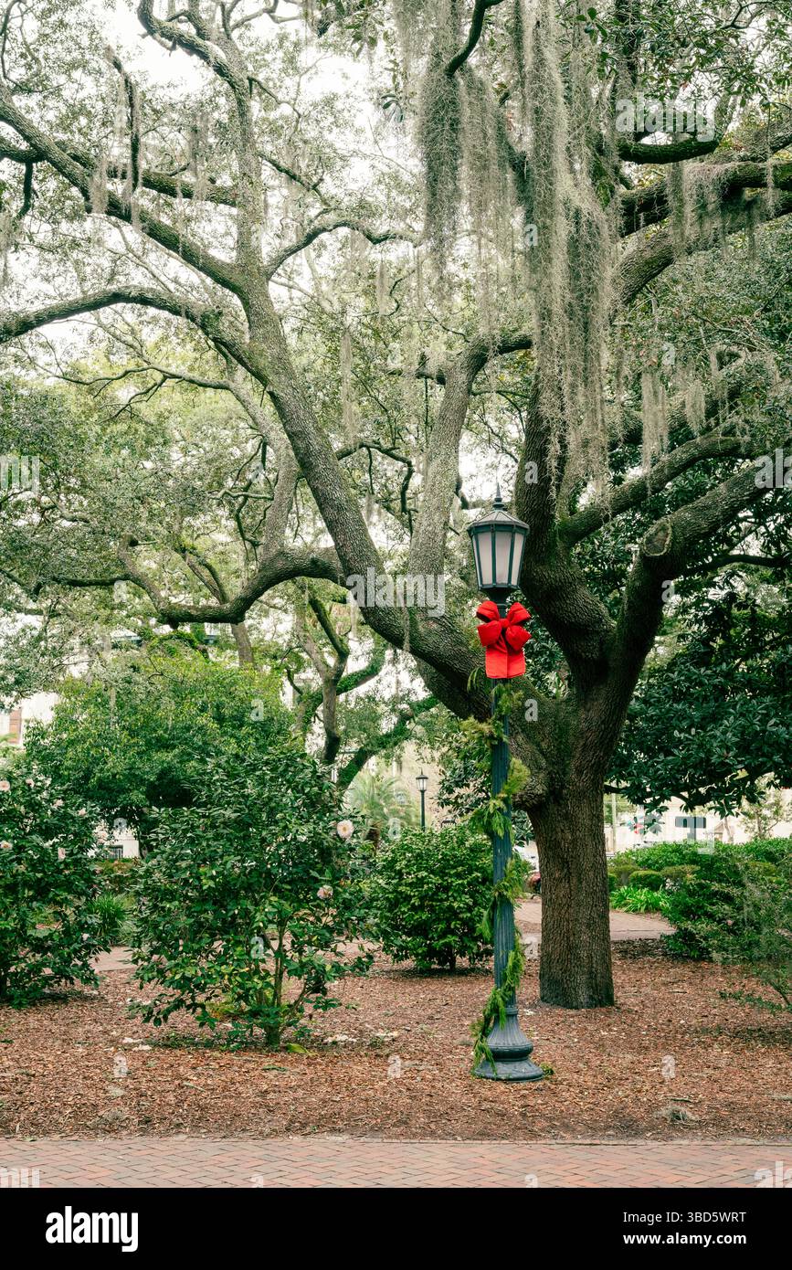 Palo luminoso decorato con arco rosso а di fronte alla quercia meridionale in piazza а a Savannah, Georgia Foto Stock
