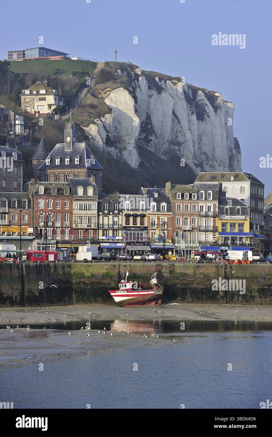 Peschereccio con bassa marea nel porto di le Treport, alta Normandia, Francia Foto Stock