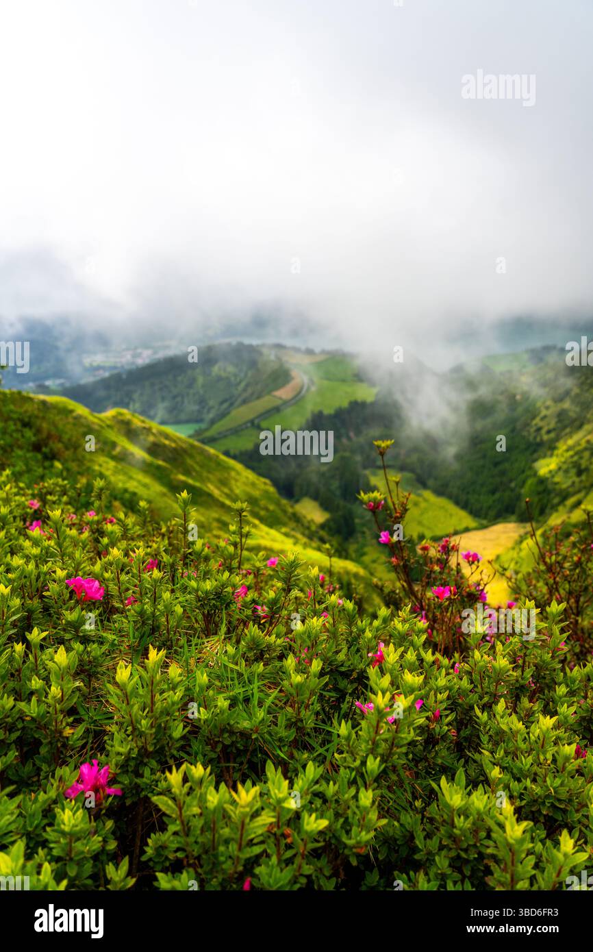 Una vastissima valle verde parzialmente nascosta sotto una bassa nebbia sospesa e copertura nuvolosa Foto Stock