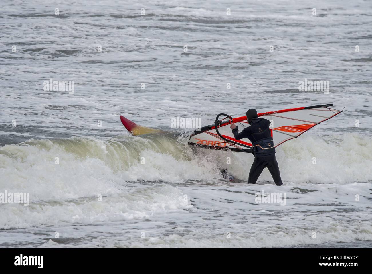Windsurf in muta nera che entra in acqua per praticare il windsurf classico lungo la costa del Mare del Nord in condizioni di vento durante la tempesta invernale Foto Stock