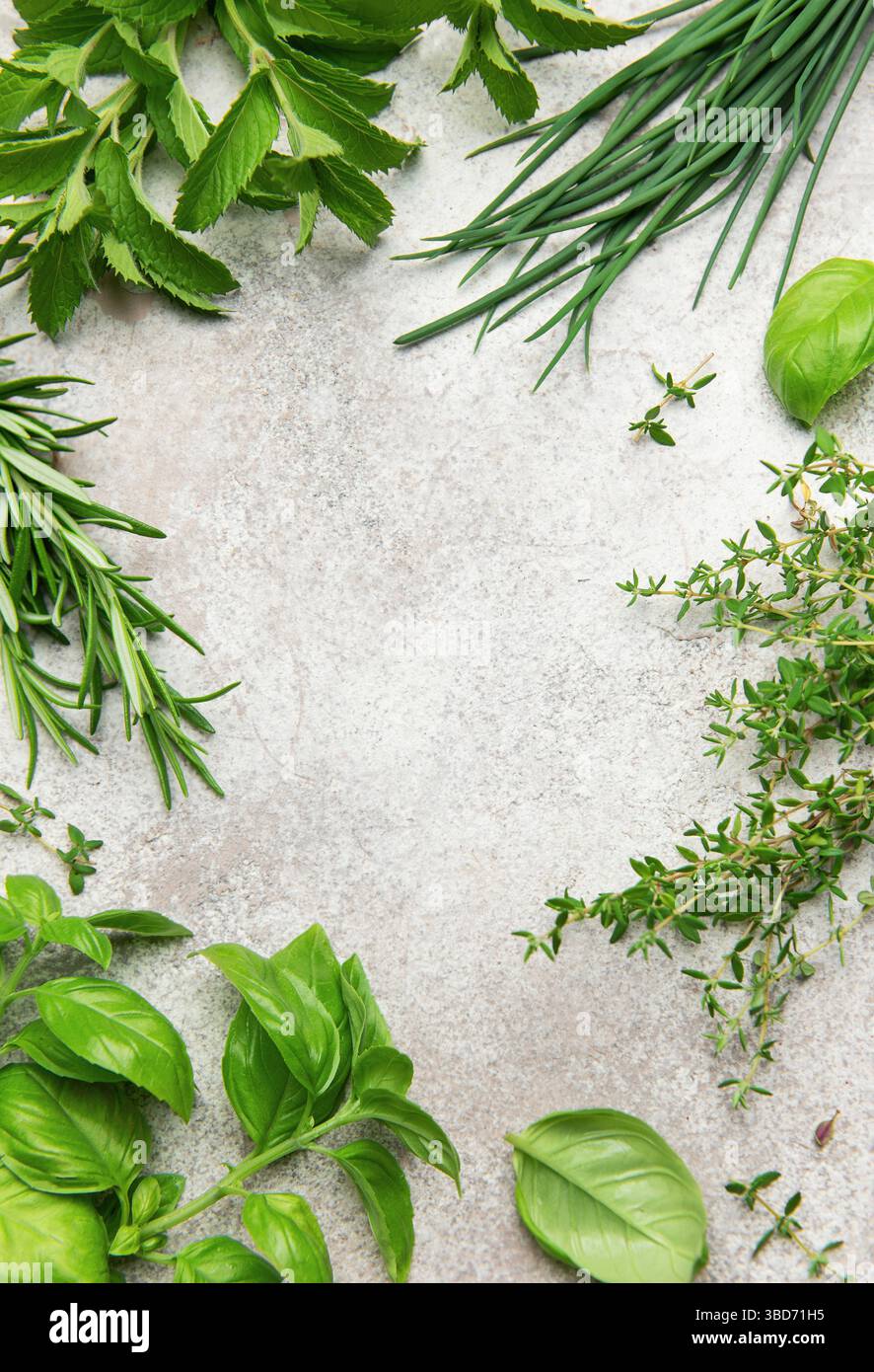 Ciuffi di basilico, rosmarino, timo, menta e erba cipollina incorniciano uno sfondo grigio, creando una scena culinaria vivace e aromatica Foto Stock
