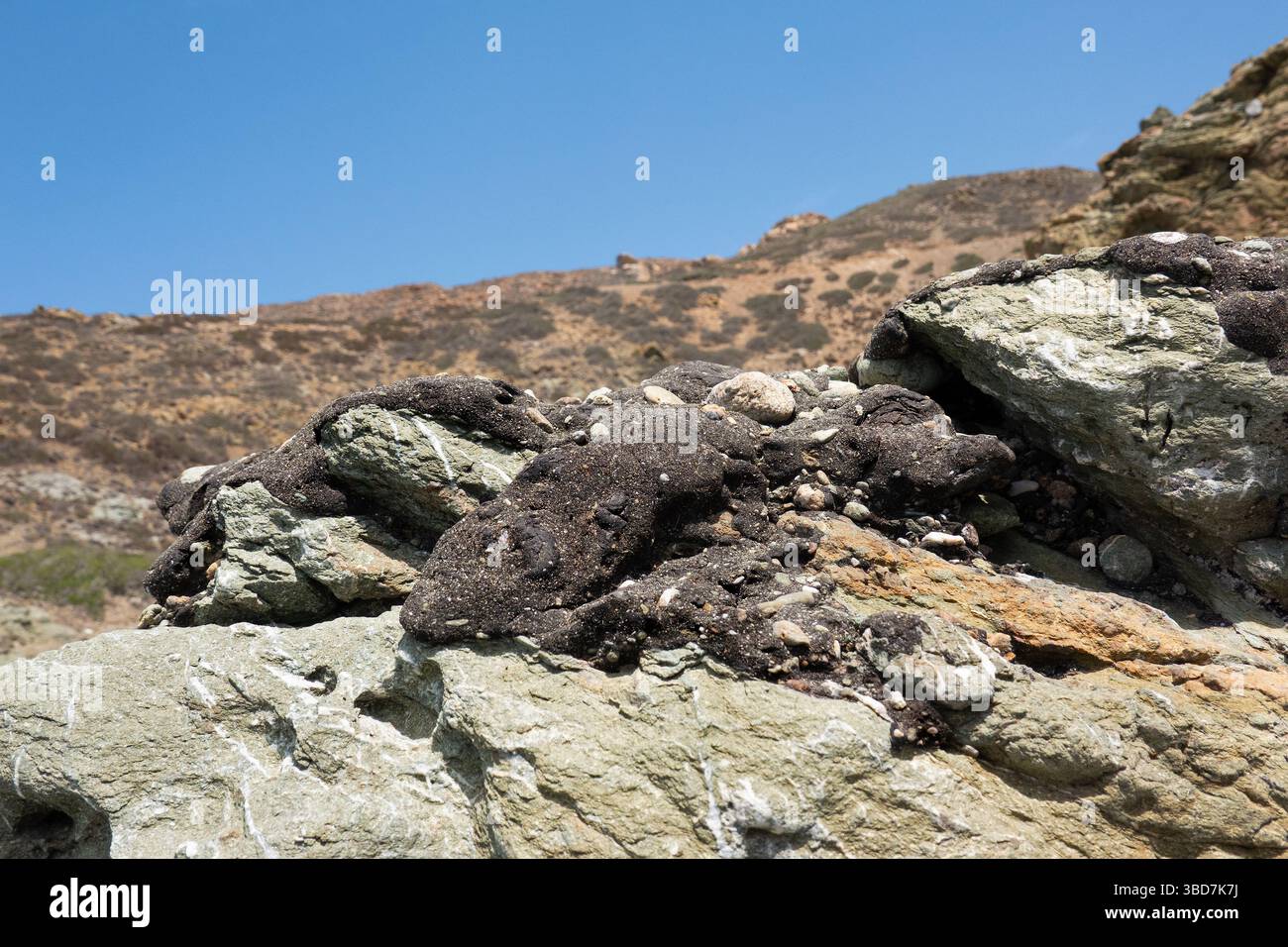Strato di catrame, attaccato a una roccia, residuo di una fuoriuscita di petrolio in mare Foto Stock