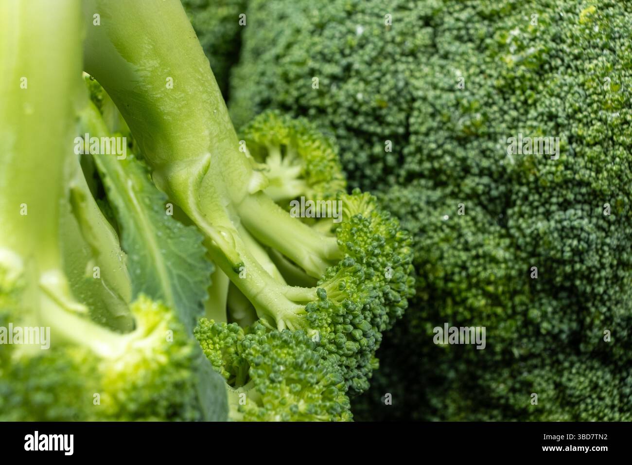 Vista ravvicinata dei broccoli verdi freschi con texture dettagliata Foto Stock