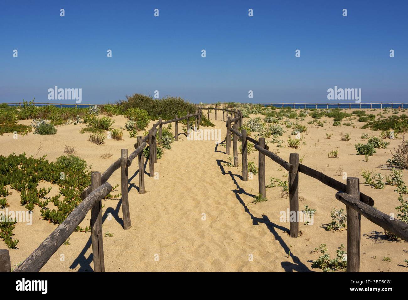 Attraversa le dune, la spiaggia di le Barcares, il dipartimento dei Pirenei-orientali, Occitanie, Francia Foto Stock