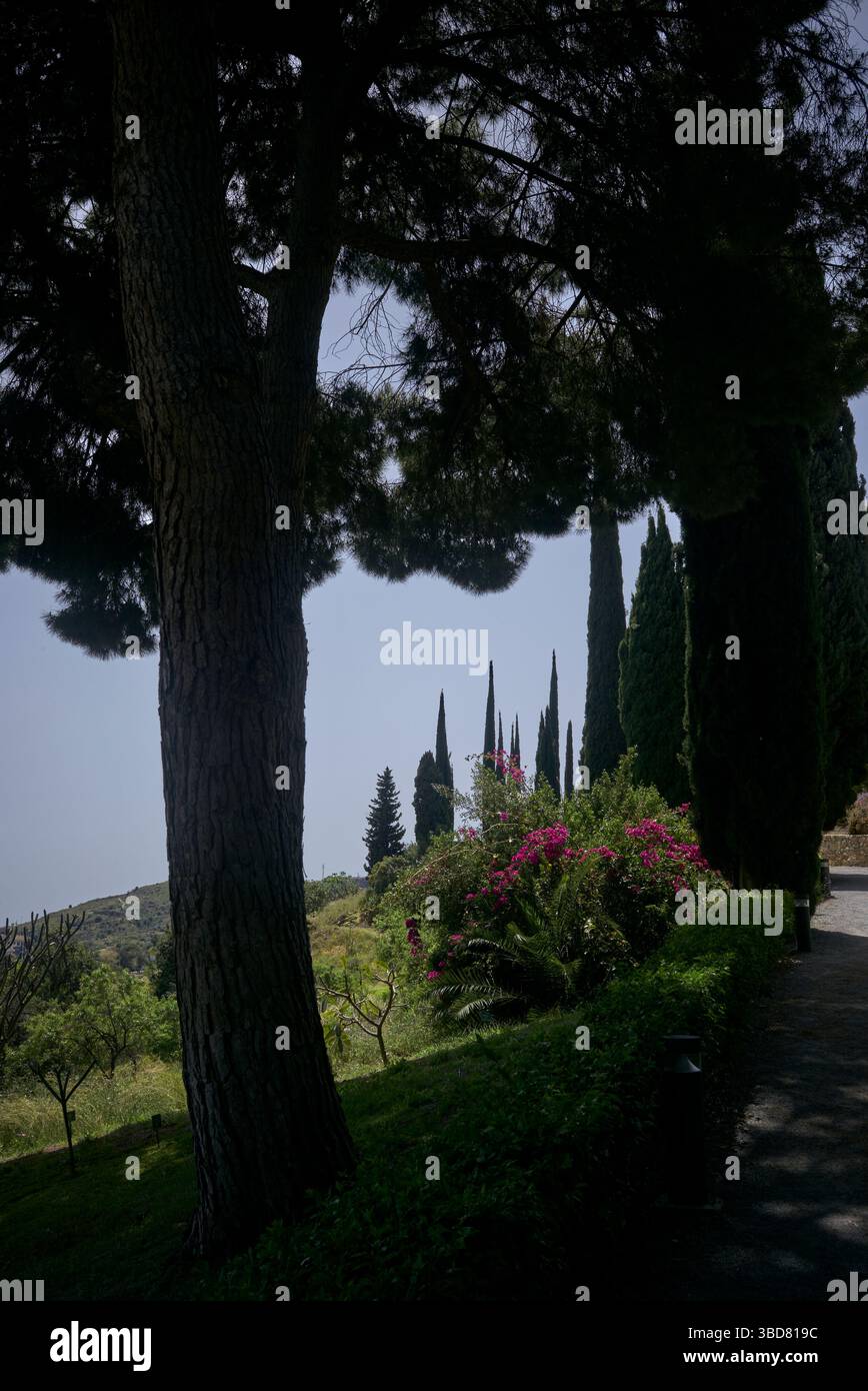 Copyright 2025 John Angerson Malaga, col del Sol - Spagna Jardín Botánico - Giardino Botanico Histórico la Concepción in Spagna Foto Stock
