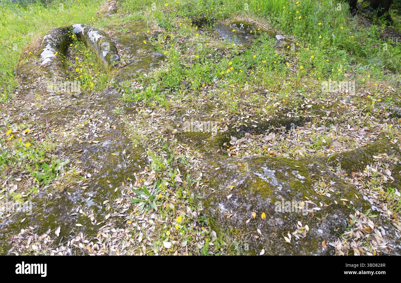 Tombe romane antropomorfe precristiane scavate nella roccia, Santuario Romano de Frende, Baiao, Frende, Portogallo Foto Stock