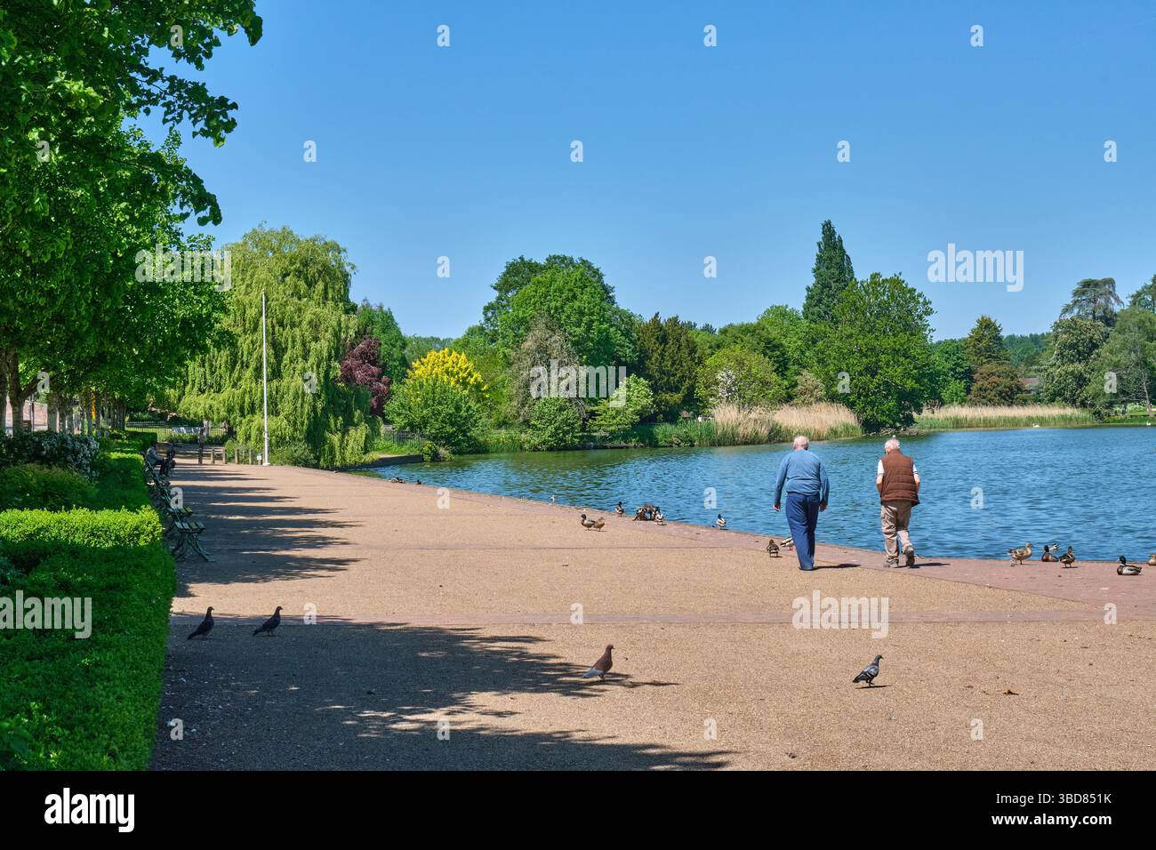 Promenade al Mere, Ellesmere, Shropshire Foto Stock
