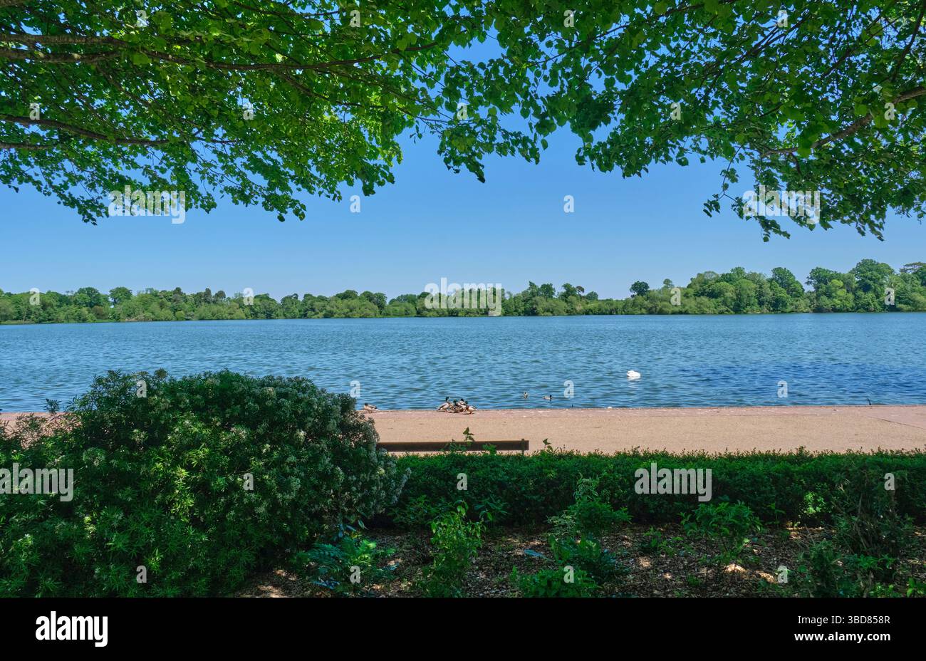 Promenade al Mere, Ellesmere, Shropshire Foto Stock
