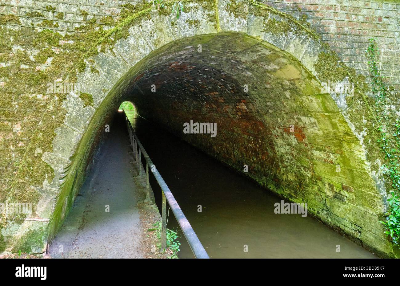 Tunnel di Ellesmere sul canale Llangollen vicino a Ellesmere, nello Shropshire Foto Stock