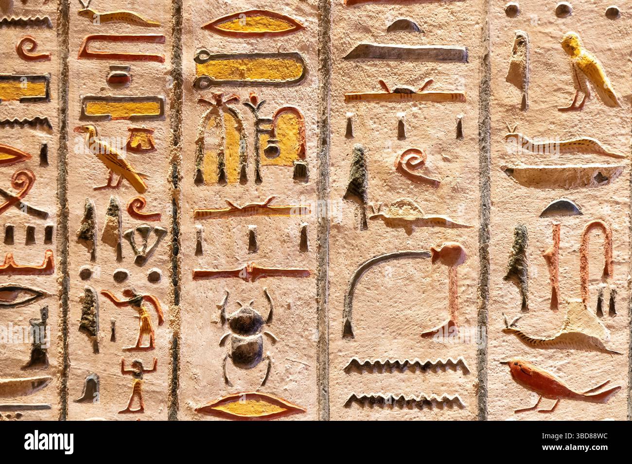 Antichi geroglifici egiziani scolpiti su un muro di pietra. Le sculture in rilievo mostrano vari simboli e figure Foto Stock