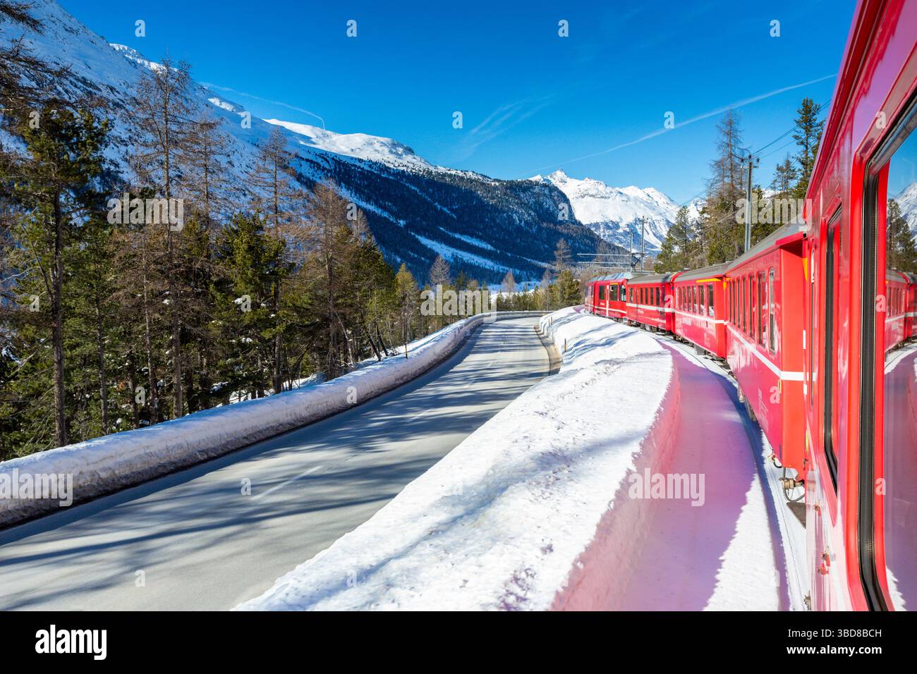 Treno Bernina Express lungo boschi innevati, Morteratsch, Svizzera Foto Stock