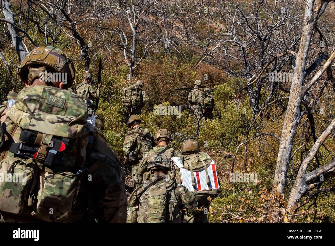 I soldati statunitensi, assegnati alla 76th Engineer Company, 41st Engineer Battalion, con Joint Task Force–Southern Border, si muovono attraverso la fitta vegetazione durante il trasporto di materiali durante una missione di deposito di segni della New Mexico National Defense area (NMNDA) vicino ad Antelope Wells, New Mexico, 20 maggio 2025. Sotto la direzione del Northern Command degli Stati Uniti, la Joint Task Force–Southern Border allinea gli sforzi per sigillare il confine meridionale e respingere le attività illegali ed è responsabile di operazioni su larga scala, agili e di tutti i domini, che consentiranno operazioni DoD più efficaci ed efficienti. (Foto U.S. Army di S Foto Stock