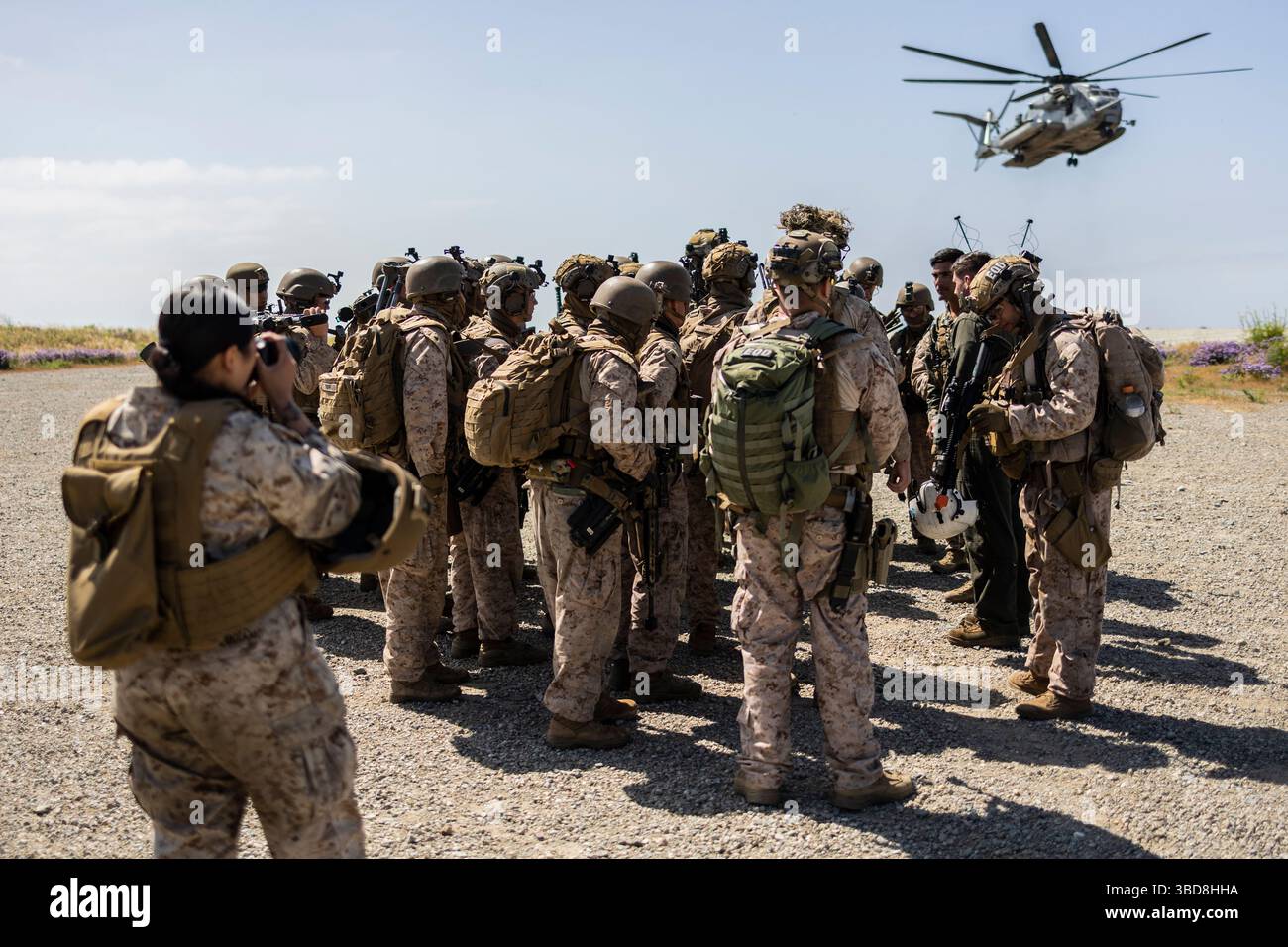 US Marines con il 3rd Battalion, 1st Marines, 1st Marine Division, ricevono un briefing sulla sicurezza dai capi dell'equipaggio con il Marine Heavy Helicopter Squadron (HMH) 361 durante un corso di recupero tattico di aerei e personale presso il Marine Corps base Camp Pendleton, California, 15 maggio 2025. La sezione Amphibious Raids of Expeditionary Operations Training Group fornisce una formazione pertinente e realistica ai leader delle piccole unità marine in compiti essenziali per preparare le unità per lo spiegamento. (Foto del corpo dei Marines degli Stati Uniti del sergente Bryant Rodriguez) Foto Stock