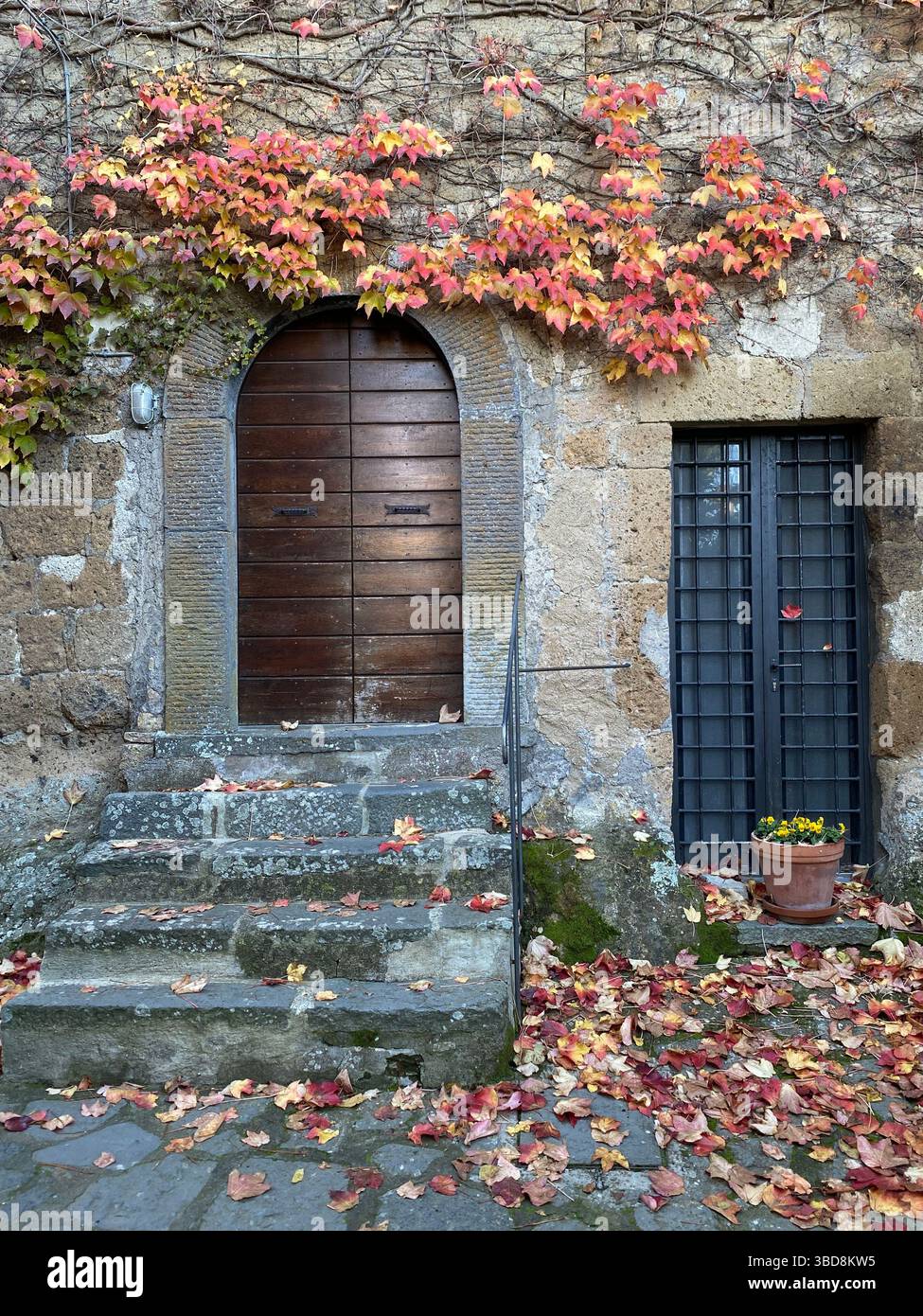 Gradini di pietra intemprati ricoperti da foglie autunnali cadute che si avvicinano alla porta di legno, pareti ricoperte di edera nello storico villaggio di Civita di Bagnoregio, in Italia Foto Stock