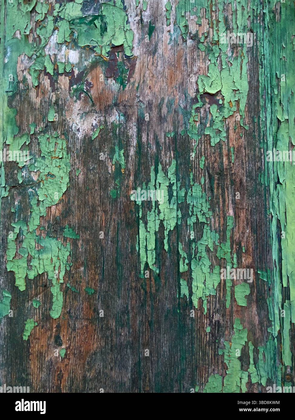 Primo piano di una superficie in legno intemprato con vernice verde sbucciante, che mostra la consistenza e il decadimento del materiale a Matera, Italia Foto Stock