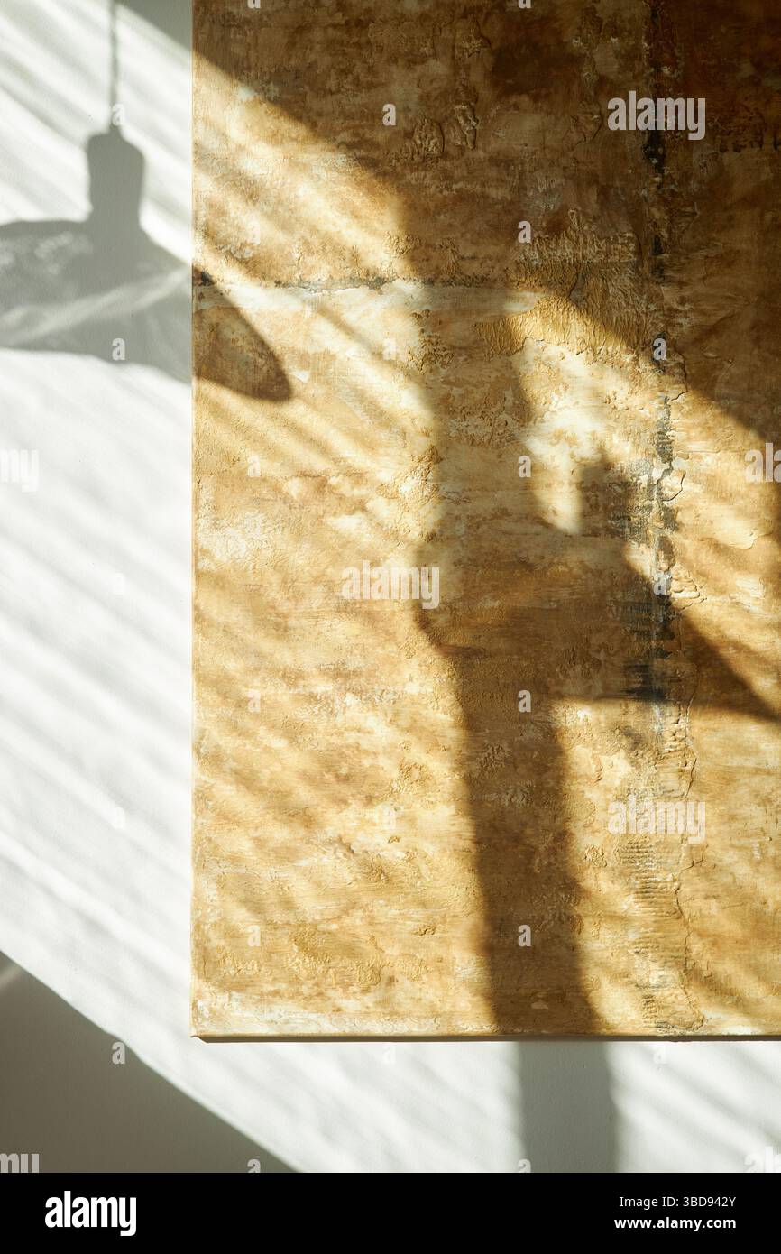 Le ombre della luce naturale del sole proiettano intricati motivi sulla superficie delle pareti testurizzate creando un gioco artistico di luce e ombra Foto Stock