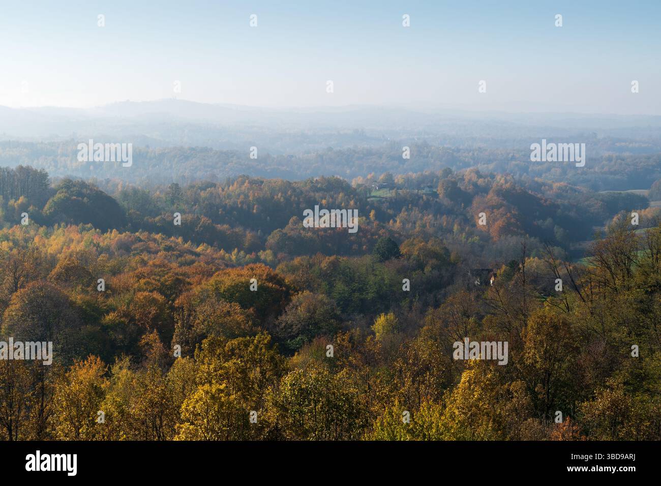 Campagna collinare con foreste decidue dai colori autunnali e foschia in lontananza Foto Stock