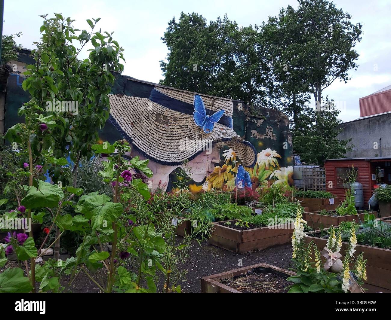 Pacitti Community Gardens, Kinning Park, Glasgow Foto Stock