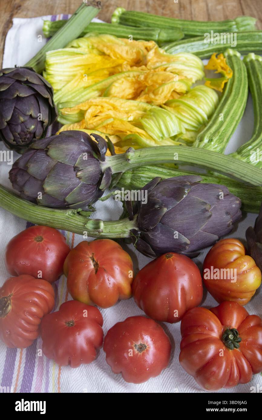 verdure fresche e colorate che rappresentano una dieta sana e sostenibile a base vegetale. Ideale per promuovere la nutrizione, il consumo ecologico e il cibo naturale Foto Stock