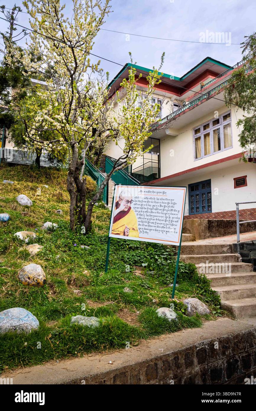 Edifici scolastici del villaggio tibetano per bambini a Dharamshala Foto Stock