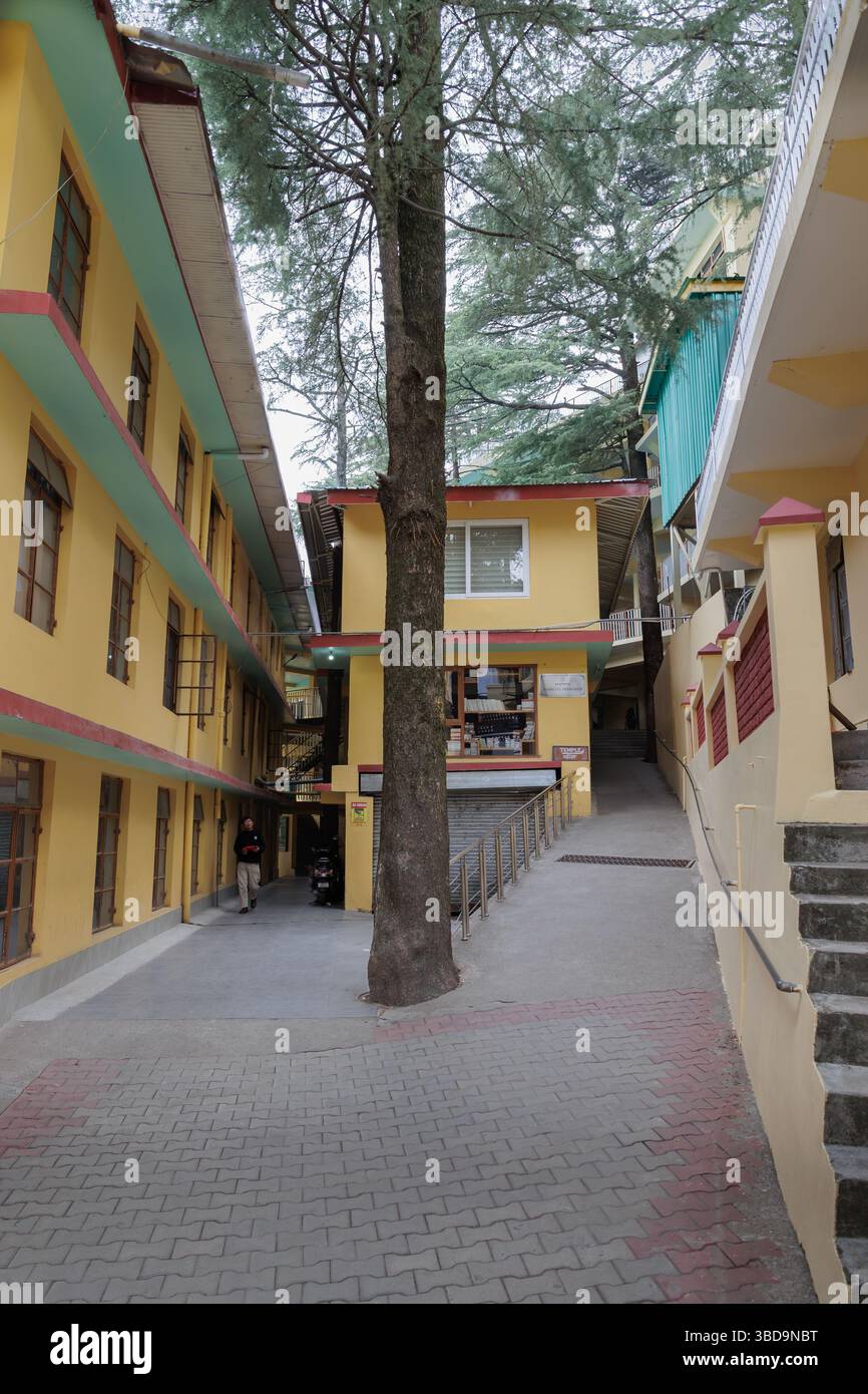 Al Tempio di Tsuglaghang gli alberi non sono sradicati dove sono costruiti gli edifici Foto Stock