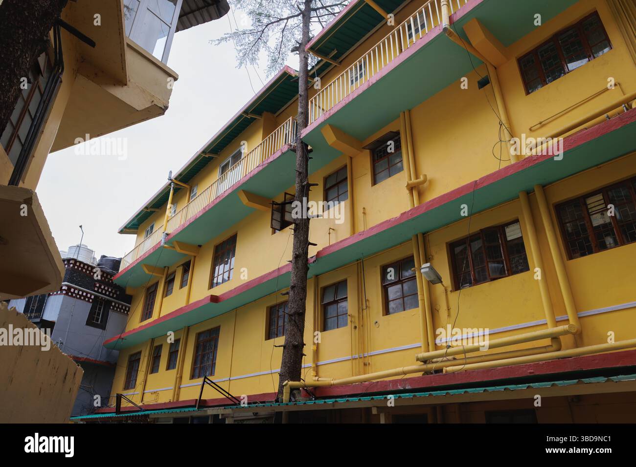 Al Tempio di Tsuglaghang gli alberi non sono sradicati dove sono costruiti gli edifici Foto Stock