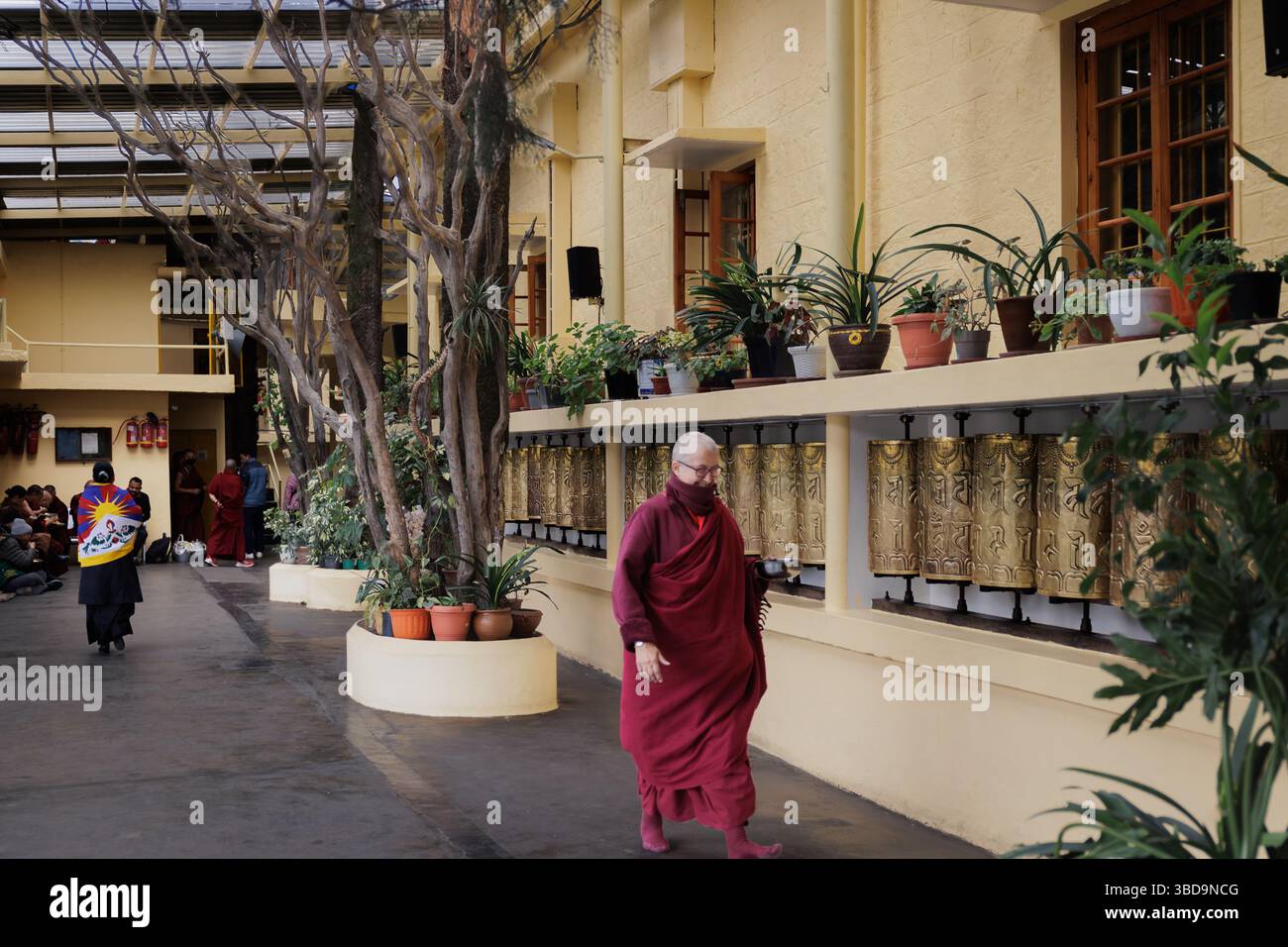 Fila di Mandi Prayerwheels Foto Stock