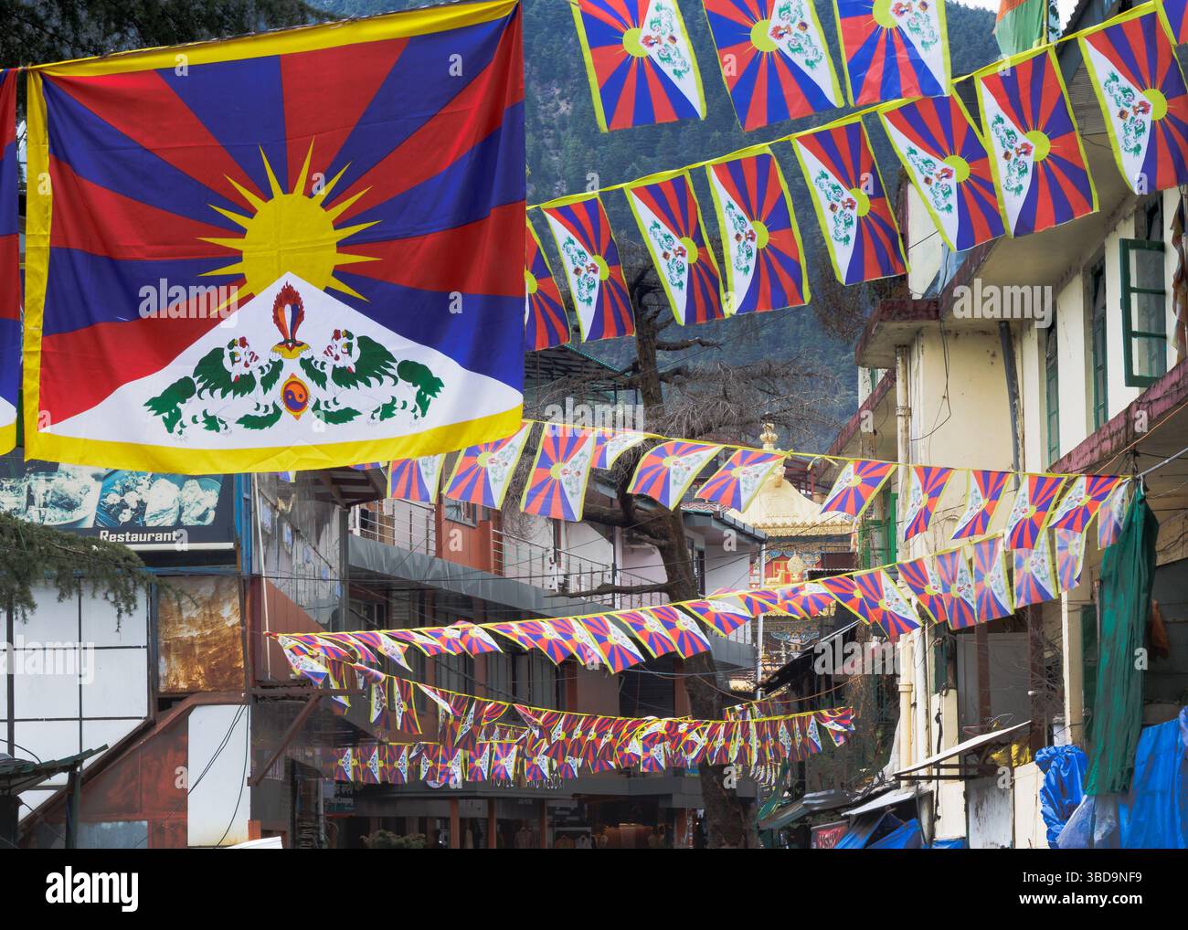 Ingresso al Tempio di Tsuglaghang adornato di bandiere che celebrano il giorno nazionale della rivolta tibetana il 10 marzo 2025 Foto Stock