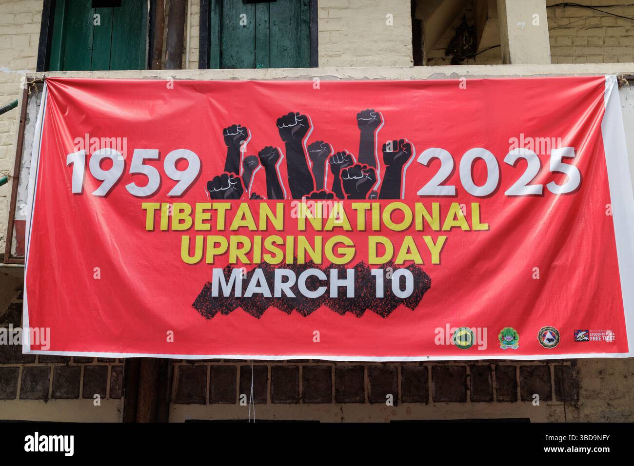 Jogiwara Road, Dharamshala adornata di bandiere che celebrano la giornata nazionale della rivolta tibetana il 10 marzo 2025 Foto Stock