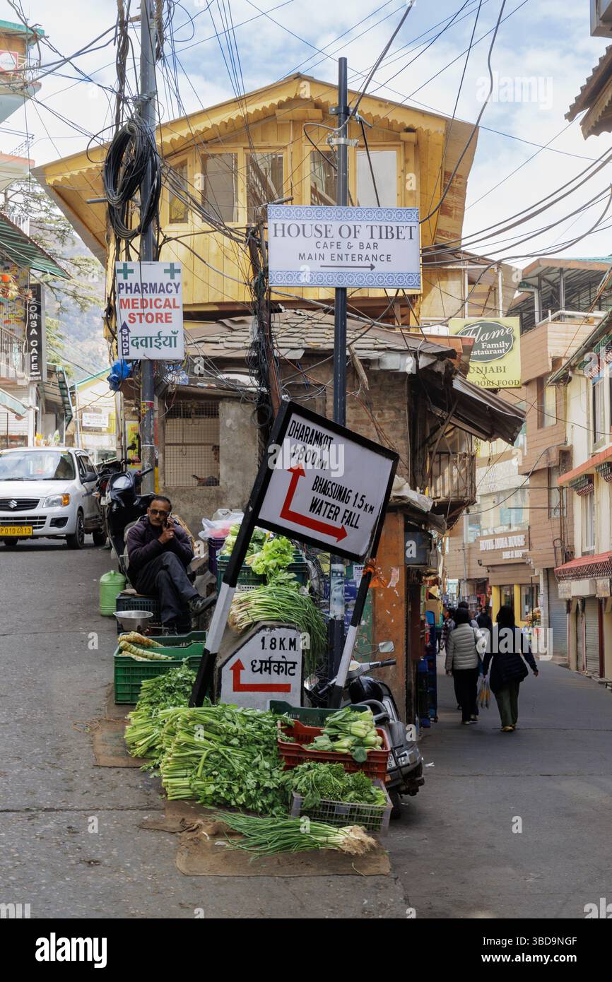 Piccolo venditore di verdure a Dharamshala. Foto Stock