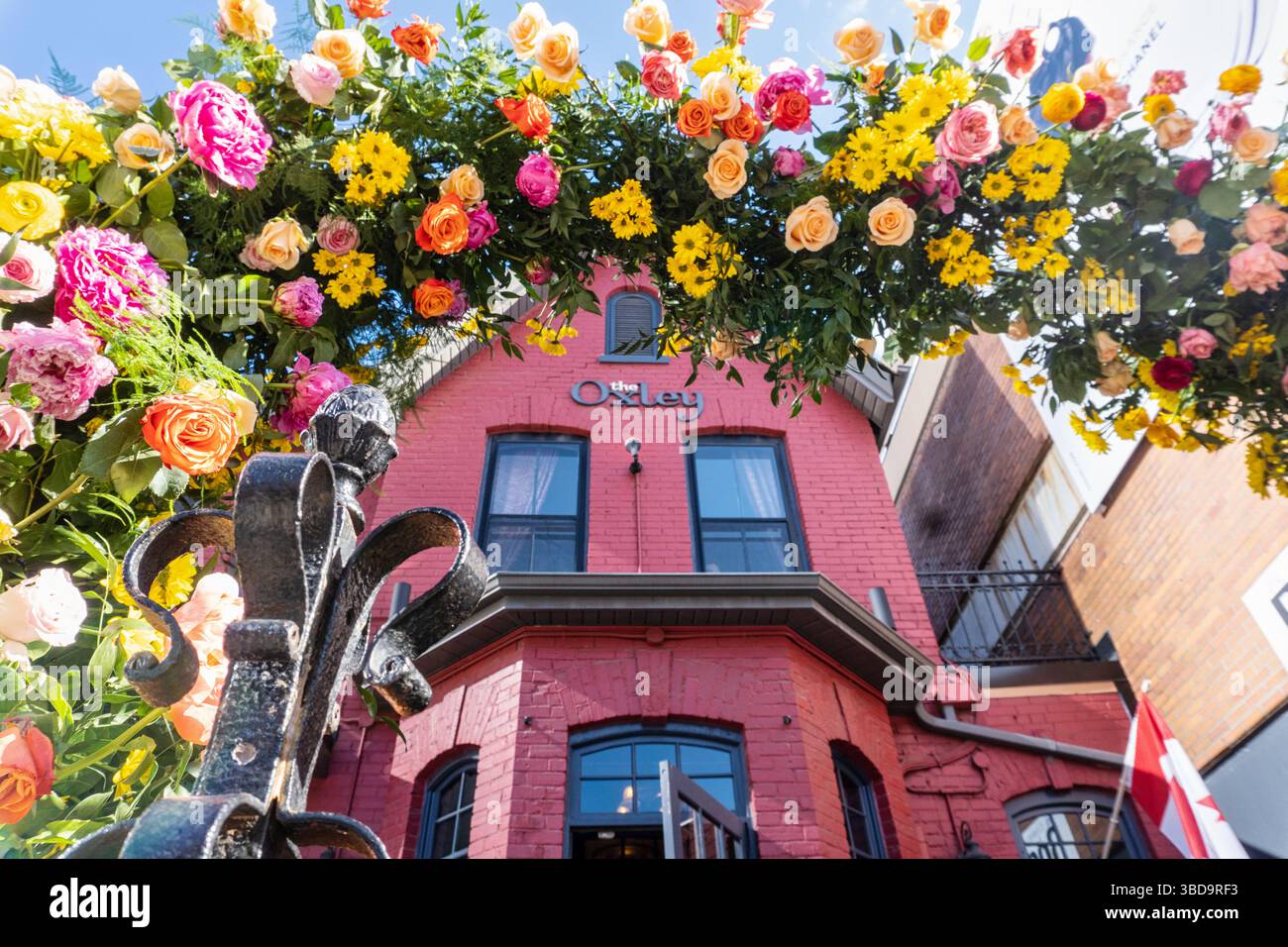 Fleurs de Villes Spring a Bloor-Yorkville: Arco floreale di fronte all'Oxley. Concentrati sull'arco floreale Foto Stock
