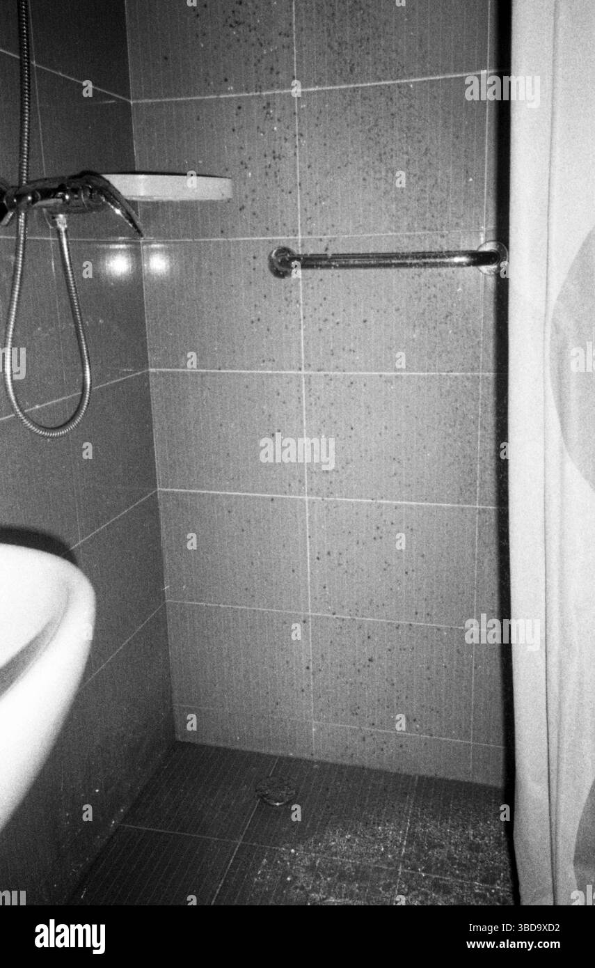 Interno della sala doccia dell'hotel con barra di appoggio e doccia a mano Foto Stock