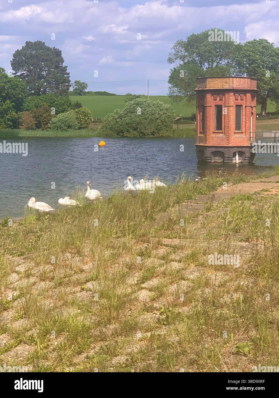 Northamptonshire Northampton lago cigni d'acqua Sywell Country Park passeggiate bambini giocare piante informazioni mappa vecchi luoghi sani camminatori - Immagine stock catturata con smartphone