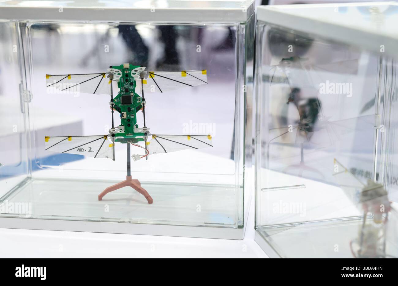 Shenzhen, provincia cinese del Guangdong. 23 maggio 2025. Un micro insetto bionico è raffigurato in un drone expo a Shenzhen, nella provincia del Guangdong, nella Cina meridionale, il 23 maggio 2025. Il 9° Drone World Congress 2025, International Low Altitude Economy e UAS Expo 2025 e il 10° Shenzhen International UAV Expo sono iniziati venerdì. All'expo hanno partecipato oltre 800 aziende con più di 5.000 prodotti di droni. Crediti: Mao Siqian/Xinhua/Alamy Live News Foto Stock