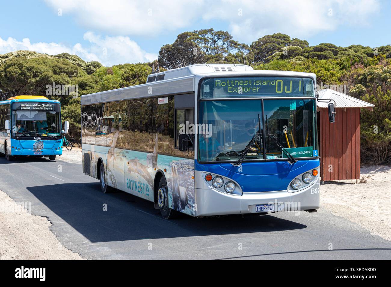 Rottnest Island Explorer bus, Rottnest Island, (Wadjemup) Western Australia, WA, Australia. Foto Stock