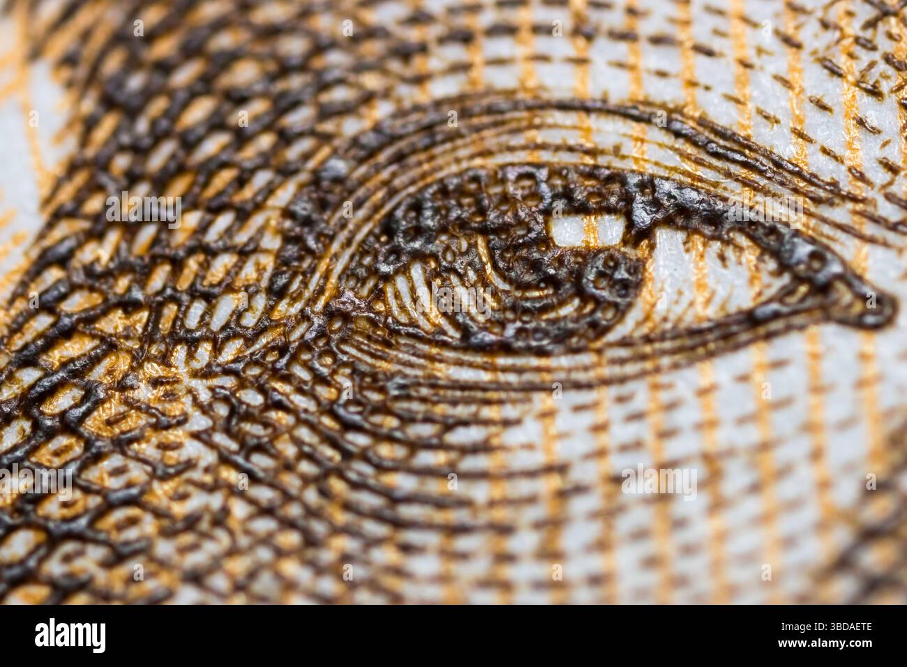 Colpo estremo da vicino di Mao Zedongs, presidente del Partito Comunista Cinese, sulla banconota cinese da 20 Yuan Foto Stock