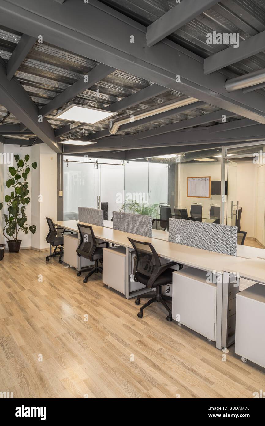 Uno spazio ufficio luminoso con più cabine moderne in cui i dipendenti lavorano diligentemente, evidenziando la produttività e la progettazione organizzata dello spazio di lavoro. Foto Stock