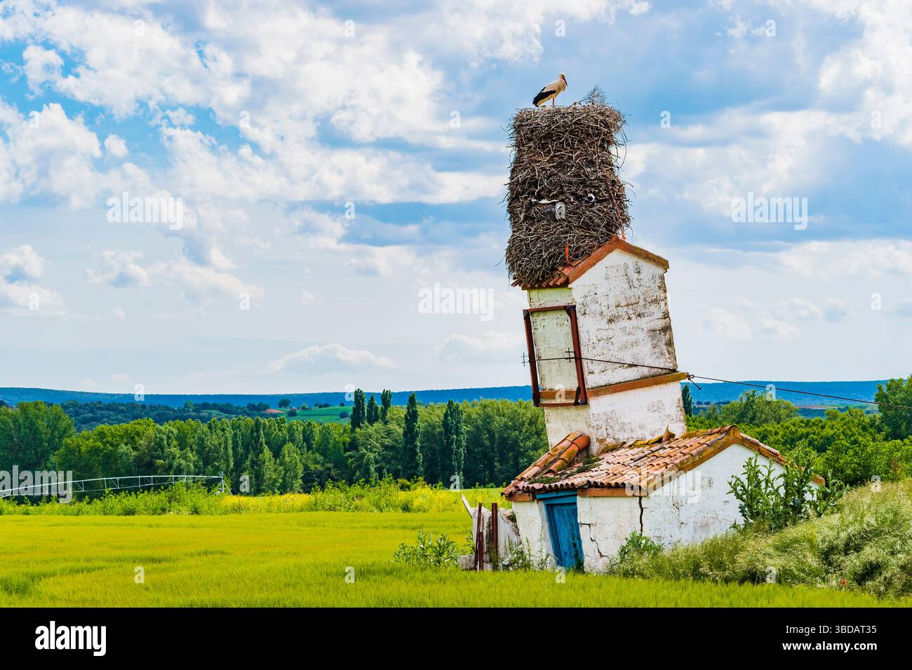 Un enorme nido di cicogna in una casa in rovina. Quintanilla del Agua, Burgos, Castilla y León, Spagna, Europa Foto Stock