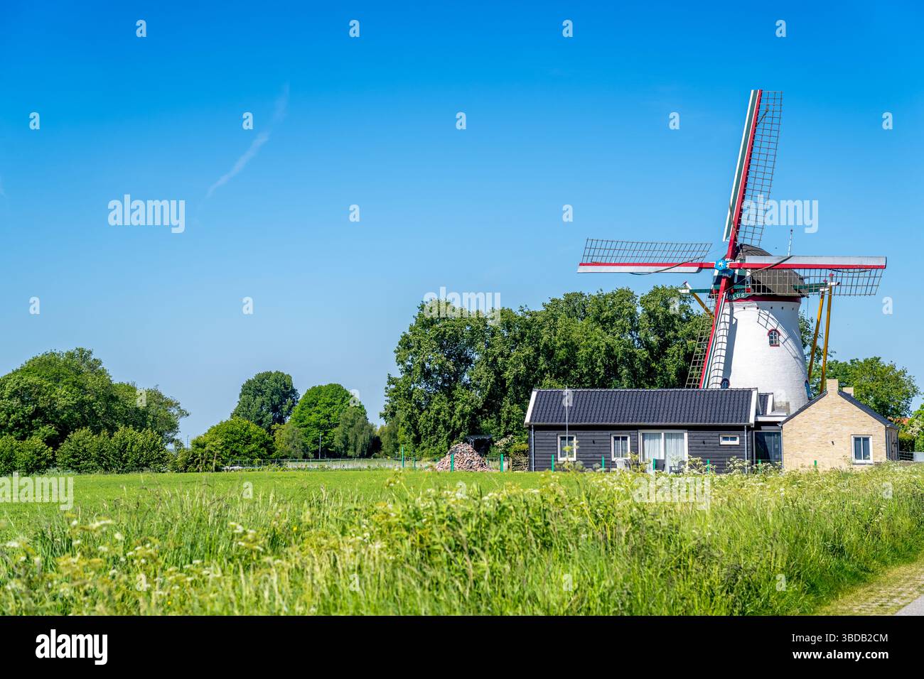 Aeolus, Windmill, Dreischor, Paesi Bassi Foto Stock