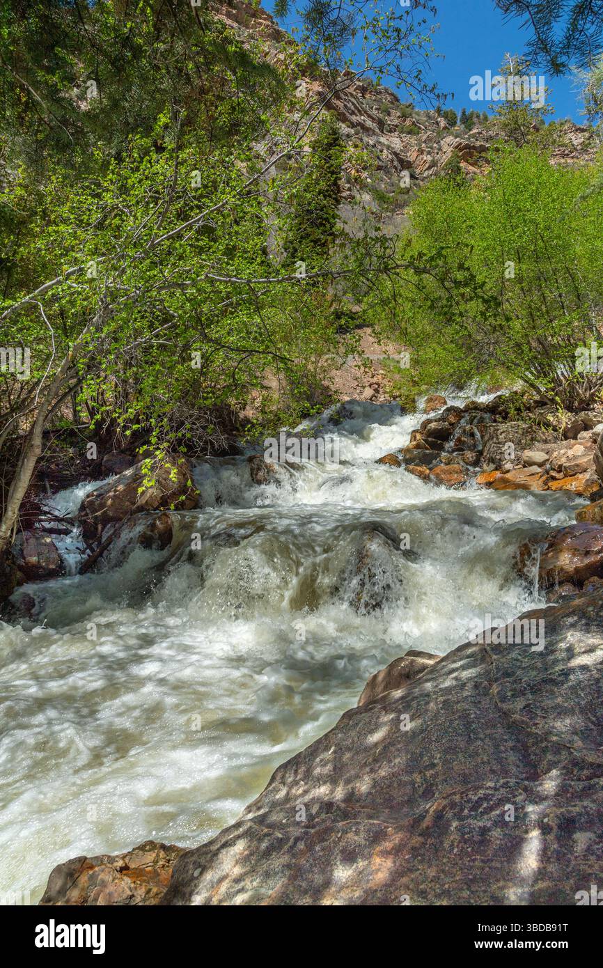 Ruscello di Montagne Rocciose, Big Cottonwood, Utah USA Foto Stock