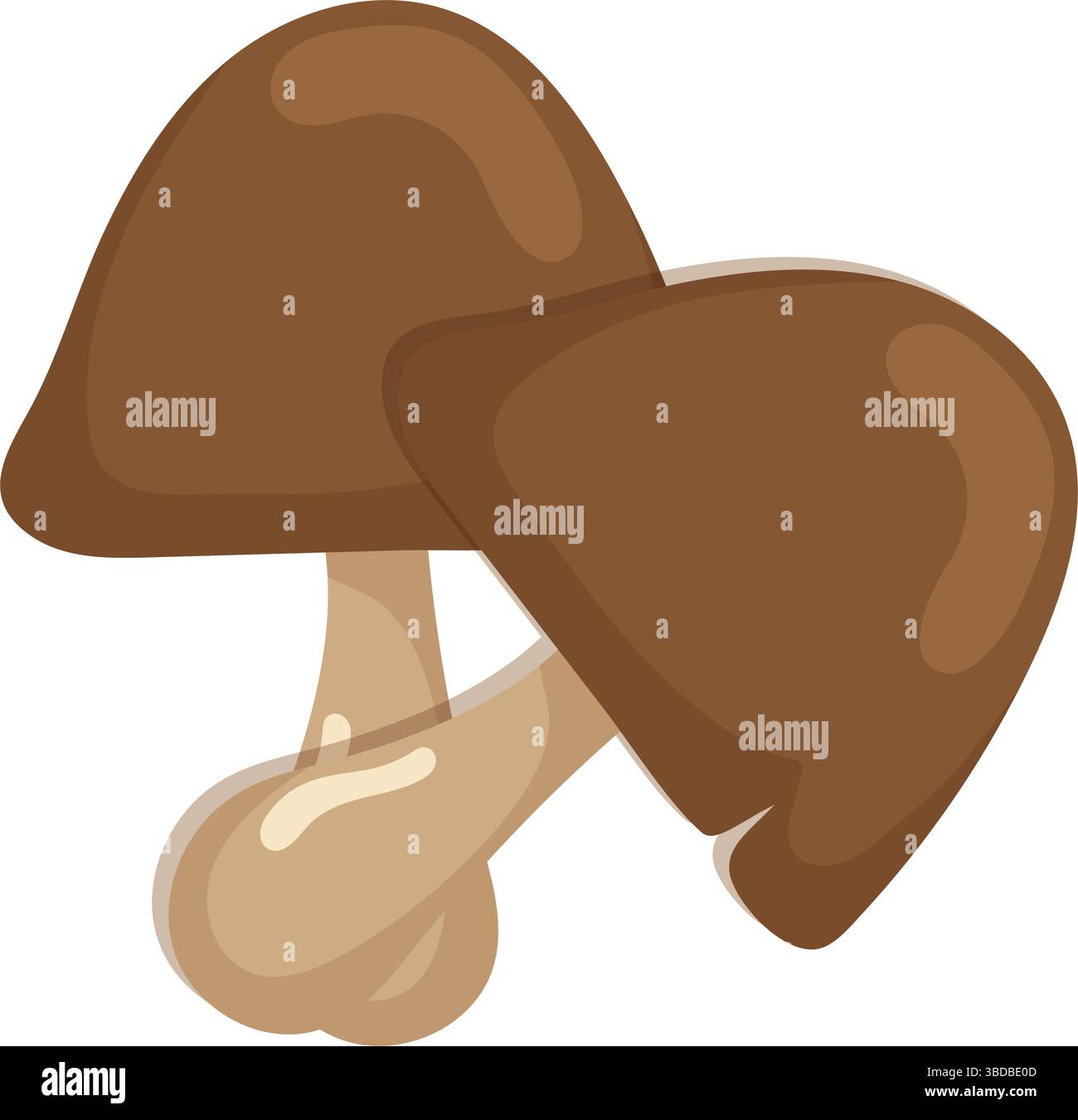 Due gruppi di funghi marroni. Vettore Illustrazione Vettoriale