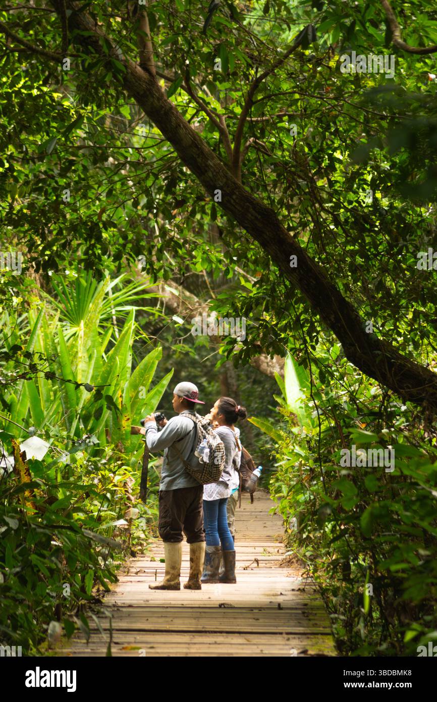Studenti di botanica e biologia che esplorano la flora e la fauna della foresta amazzonica peruviana Foto Stock
